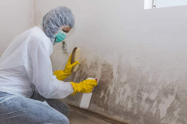 Best Air Quality Testing for Mold Spores  in Anson, TX