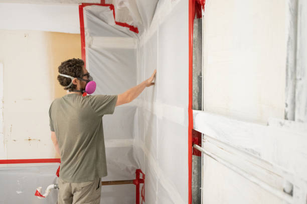  Anson, TX Mold Removal Pros