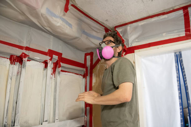 Best Mold Documentation for Insurance Claims  in Anson, TX