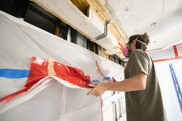 Best Emergency Mold Remediation  in Anson, TX