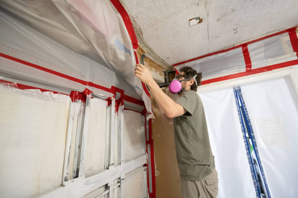 Best Dehumidification Services  in Anson, TX